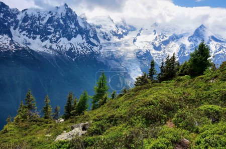 Foto de Paisaje alpino con montañas del Mont Blanc en verano desde Plan Praz - Imagen libre de derechos