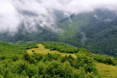 Téléchargez les photos : Wonderful springtime scenery of carpathian countryside - en image libre de droit