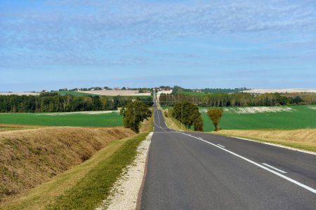Téléchargez les photos : Road through fields and meadows in france - en image libre de droit