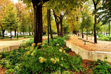 Téléchargez les photos : Beautiful view of park in the city, autumn landscape - en image libre de droit