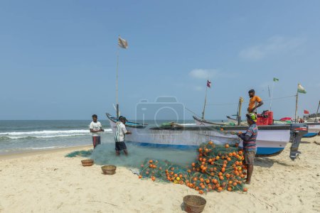 Téléchargez les photos : Benaulim Beach, Goa - Inde. Avril, 06 2023. Pêcheurs déchargeant leurs prises de pailles sur le rivage. Les pêcheurs trient ensuite méticuleusement les poissons en fonction de leur espèce et de leur taille. - en image libre de droit