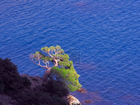 Téléchargez les photos : Belle mer de paysage avec des roches au jour ensoleillé nouveau monde - en image libre de droit
