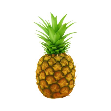 Téléchargez les illustrations : Realistic pineapple fruit vector design isolated on white - en licence libre de droit