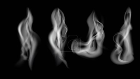Illustration for Vector illustration of smoke on black - Royalty Free Image