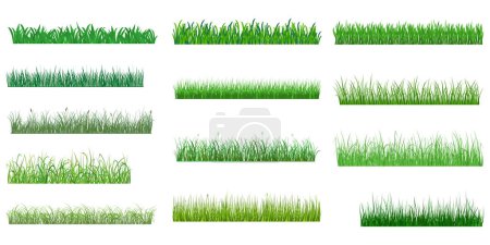  Ensemble de collecte de matériel vectoriel de bordure d'herbe de printemps