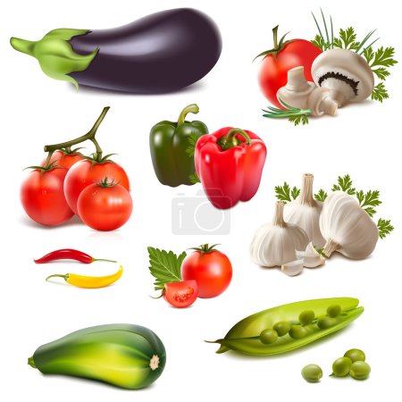 Ilustración de Verduras realistas. berenjena, tomates, cebollas, pimientos, guisantes, chiles. Conjunto de iconos de vector 3D aislado - Imagen libre de derechos