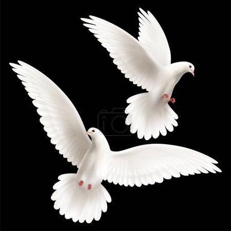 Ilustración de Vector realista hermosa paloma blanca - Imagen libre de derechos