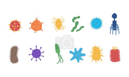 Virus y bacterias vector conjunto. Virus colorido, bacterias y gérmenes recortan dibujos animados de estilo plano, garabatos dibujados a mano. Hospital y concepto médico