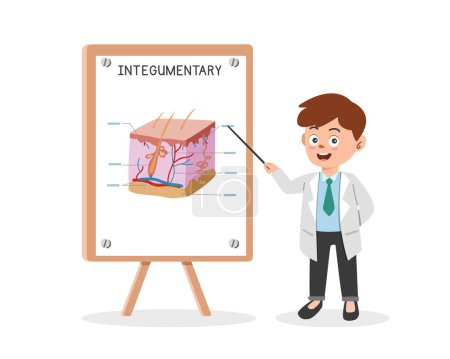Illustration for Integumentary system clipart cartoon style. Doctor presenting human integumentary system at medical seminar flat vector illustration. Skin section, hairs, dermis, subcutaneous physiological parts - Royalty Free Image