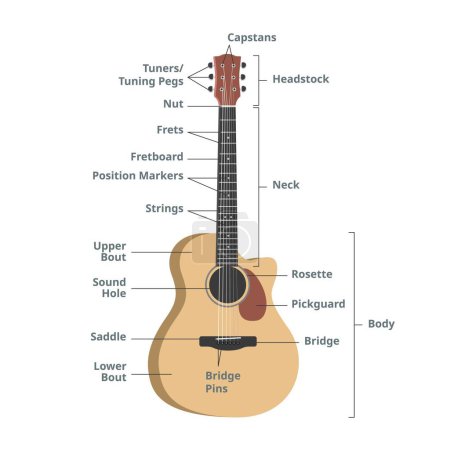 Teile eines Akustikgitarren-Diagrammvektors. Anatomie der Gitarre Infografik. Gitarrenteile. Kopfplatte, Hals, Griffbrett, Bünde, Saiten, Stimmwirbel, Schallloch, Schlagschutz. Gitarrenvektordesign