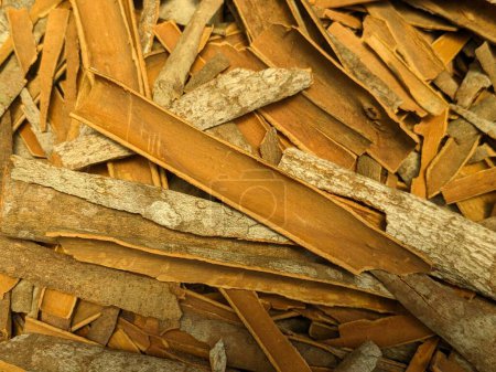 Aromatic Delight: Close-Up of Fresh Cinnamon Sticks