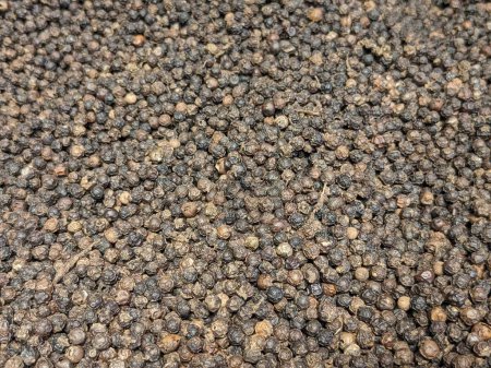 Abundancia de especias: Primer plano de semillas de pimienta negra