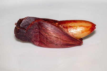 Téléchargez les photos : Fruits de noix de pin du pin de Paran (Araucaria angustifolia). noix de pin cuites - en image libre de droit