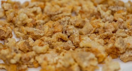 Photo for Traditional Brazilian crackling known as "torresmo pururuca" - Royalty Free Image