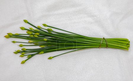 bourgeon floral de ciboulette d'ail (Allium tuberosum) également connu sous les noms de ciboulette asiatique, ail oriental, ciboulette chinoise ou poireau chinois, gros plan et foyer sélectif. Nir