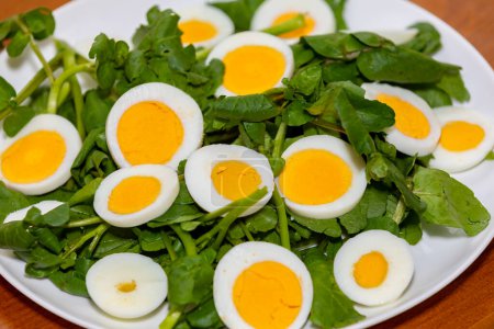 Traditional watercress salad with egg