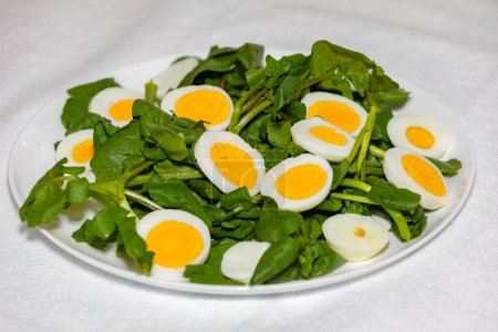 Téléchargez les photos : Salade traditionnelle de cresson avec oeuf - en image libre de droit