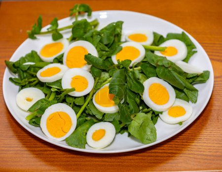 Téléchargez les photos : Salade traditionnelle de cresson avec oeuf - en image libre de droit