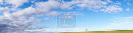 Foto de Wide panoramic view of blue skies and white scattered clouds and green ground with a single tree. High-quality photo - Imagen libre de derechos