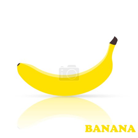 Ilustración de Icono de fruta de plátano. Banana aislada sobre fondo blanco. Ilustración vectorial
. - Imagen libre de derechos