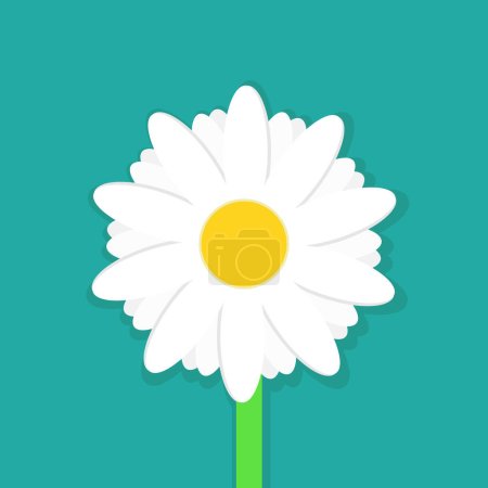 Téléchargez les illustrations : Daisy chamomile isolated on white background. Vector illustration. Eps 10. - en licence libre de droit