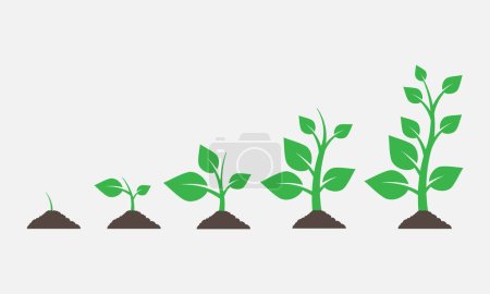 Téléchargez les illustrations : Plants growing in the ground. Vector illustration. Eps 10 - en licence libre de droit