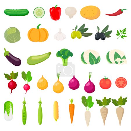 Téléchargez les illustrations : Vegetables icons. Collection farm product isolated on white background. Vector illustration. Eps 10. - en licence libre de droit
