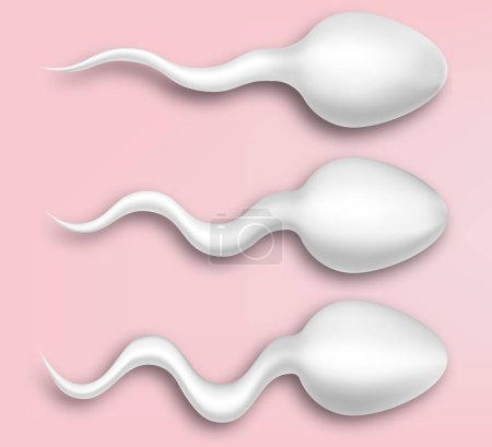 Realistic white sperm. Concept of IVF and fertilization. Vector illustration. Eps 10.
