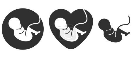Ilustración de Fetus icon. Prenatal human child with placenta symbol. Embryo sign. Vector illustration. Eps 10. - Imagen libre de derechos