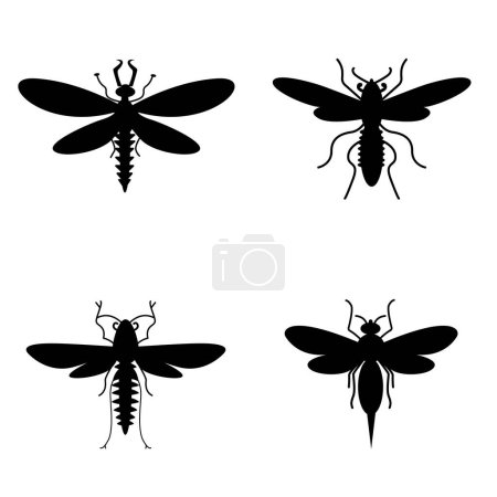 Illustration for Insect Collection. Ancient insects, Jurassic period - Royalty Free Image