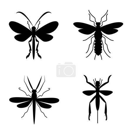 Illustration for Insect Collection. Ancient insects, Jurassic period - Royalty Free Image