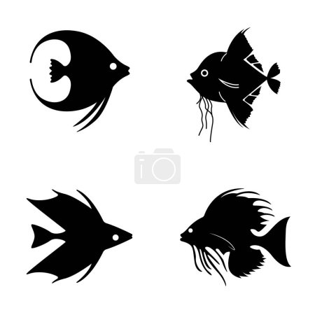A collection of monster fish. Fish from the Mariana Trench