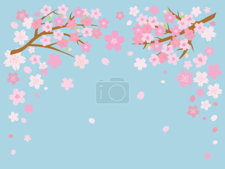 Kirschblütenhintergrund mit Platz für Text. Vektorillustration.