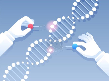 Téléchargez les illustrations : Génie génétique. Outil d'édition de gènes CRISPR CAS9. Illustration vectorielle - en licence libre de droit