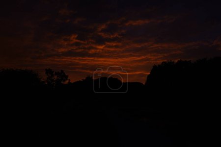 Photo for Beautiful landscape with trees, sky, sun and clouds - Royalty Free Image