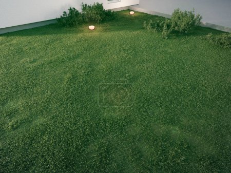 Foto de House with concrete terrace near empty grass floor. 3d rendering of green lawn in modern home. - Imagen libre de derechos