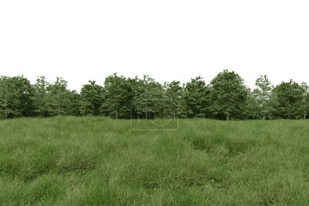 Foto de Cerro de hierba realista y la línea de árboles del bosque. representación 3d de objetos aislados sobre fondo blanco. - Imagen libre de derechos