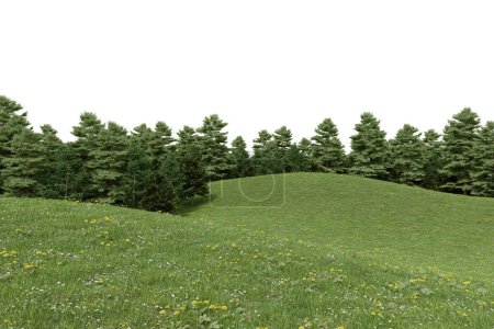 Téléchargez les photos : Herbe réaliste colline et forêt ligne des arbres. rendu 3d d'objets isolés sur fond blanc. - en image libre de droit