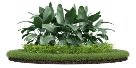 Foto de Podio de hierba realista con jardín. representación 3d de objetos aislados. - Imagen libre de derechos