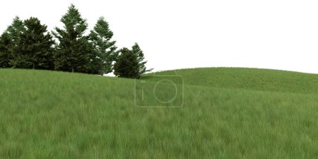 Foto de Cerro de hierba realista y la línea de árboles del bosque. representación 3d de objetos aislados. - Imagen libre de derechos
