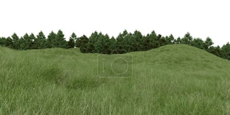 Téléchargez les photos : Herbe réaliste colline et forêt ligne des arbres. rendu 3d d'objets isolés. - en image libre de droit