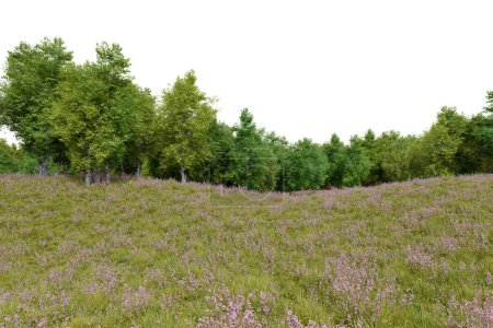 Foto de Línea realista de prados y árboles forestales. representación 3d de objetos aislados. - Imagen libre de derechos