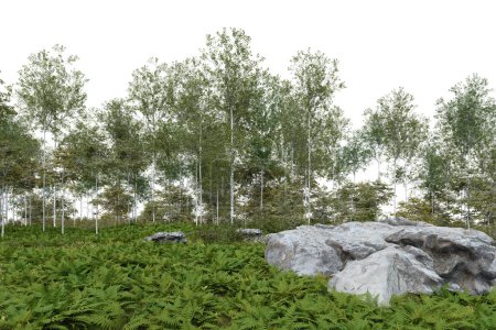 Téléchargez les photos : Sol forestier et arbres réalistes. rendu 3d d'objets isolés. - en image libre de droit