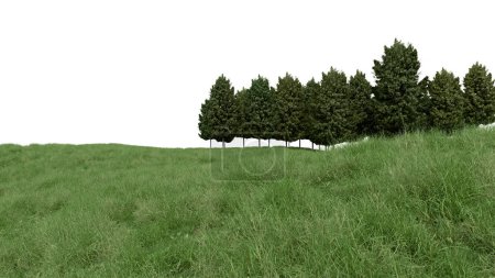 Photo for Realistic grass hill and forest tree line. 3d rendering of isolated objects. - Royalty Free Image
