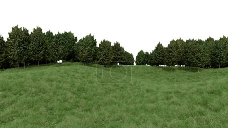 Téléchargez les photos : Herbe réaliste colline et forêt ligne des arbres. rendu 3d d'objets isolés. - en image libre de droit