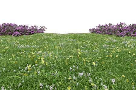 Photo for Realistic grass field with bushes. 3d rendering of isolated objects. - Royalty Free Image
