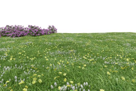 Photo for Realistic grass field with bushes. 3d rendering of isolated objects. - Royalty Free Image