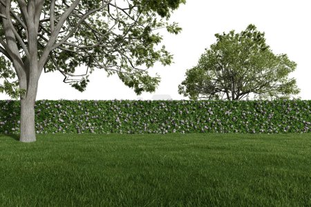Foto de Césped de hierba realista con cerca de setos y árboles. representación 3d de objetos aislados. - Imagen libre de derechos