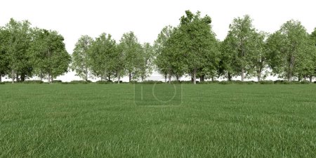 Photo for Realistic meadow and forest tree line. 3d rendering of isolated objects. - Royalty Free Image