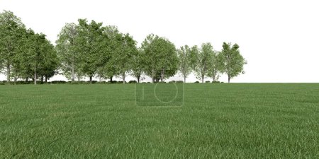 Foto de Línea realista de prados y árboles forestales. representación 3d de objetos aislados. - Imagen libre de derechos